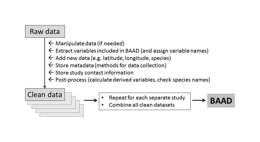 baad figure 1