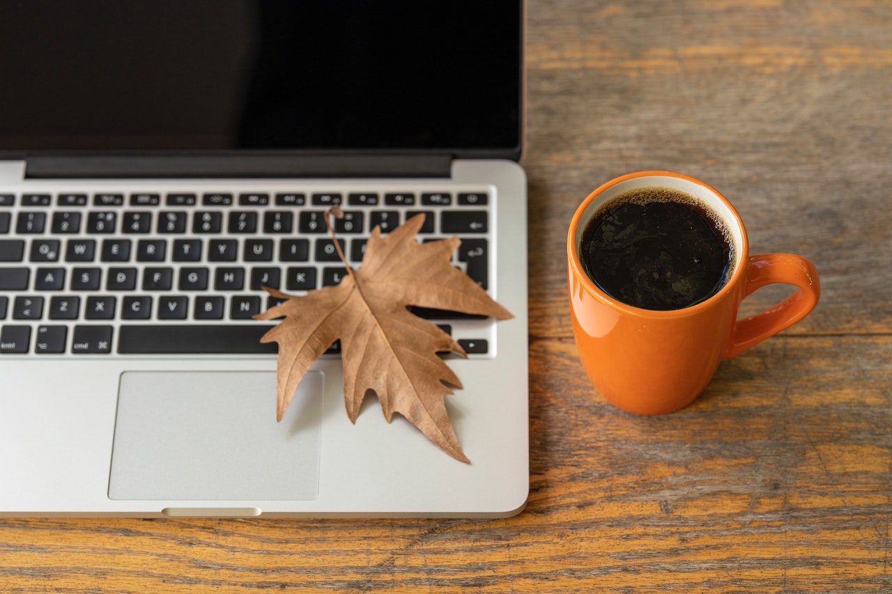 Laptop keyboard with a tree leaf beside it